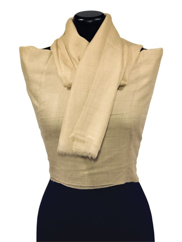 KFW36-HB-halvanybarna-kasmir-sal-a.