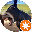 Odobaenus profile picture